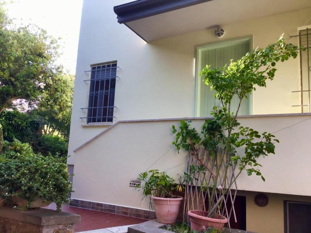 La Coccinella Residence San Vincenzo Exteriör bild
